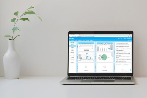 免費(fèi)裝修管理軟件靠譜嗎？——兼談軟件外包服務(wù)的優(yōu)勢(shì)與選擇